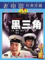 黑三角Three Black Triangles