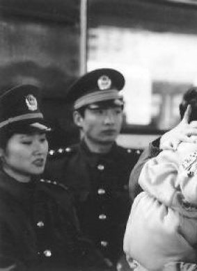 天伦Tian Lun