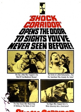 恐怖走廊Shock Corridor
