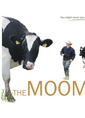 养牛人The Moo Man