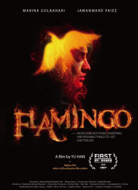 火烈鸟Flamingo