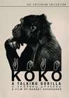 会说话的大猩猩Koko, le gorille qui parle