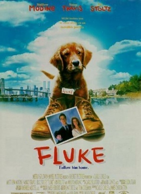 再世人狗缘Fluke